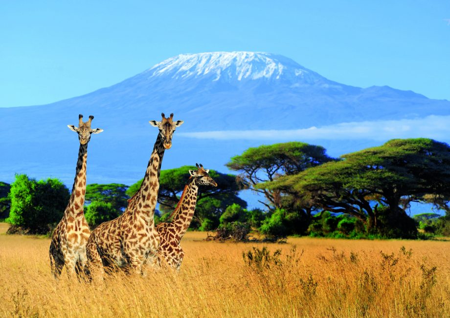 Tanzania tours